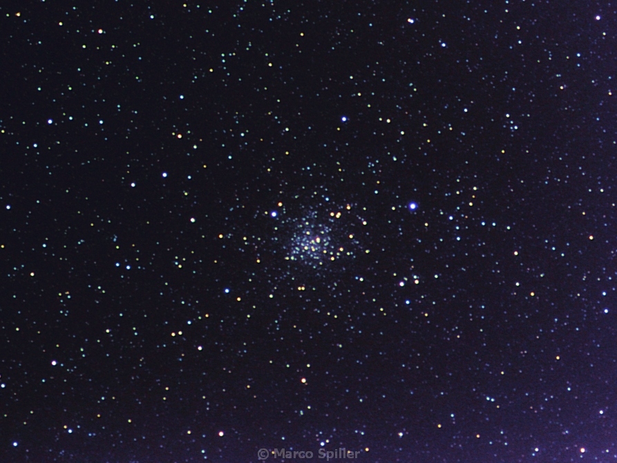 M 71 : open o globular cluster ?